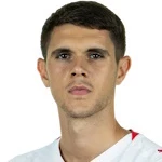 K. Nedeljković